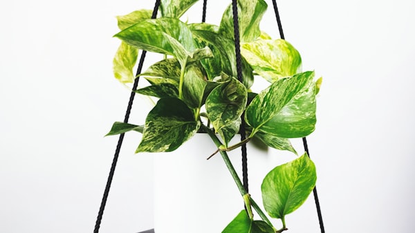 本周欧洲五大联赛十佳进球精彩瞬间合集